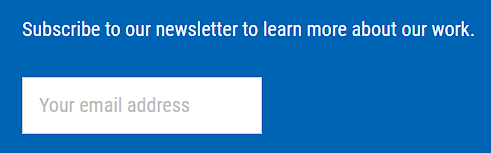 Subscribe to our newsletter to learn more about our work + one input field for the email address